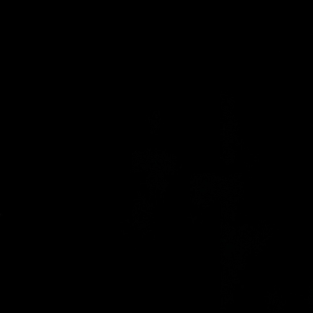 Meet your Posher, Sandy